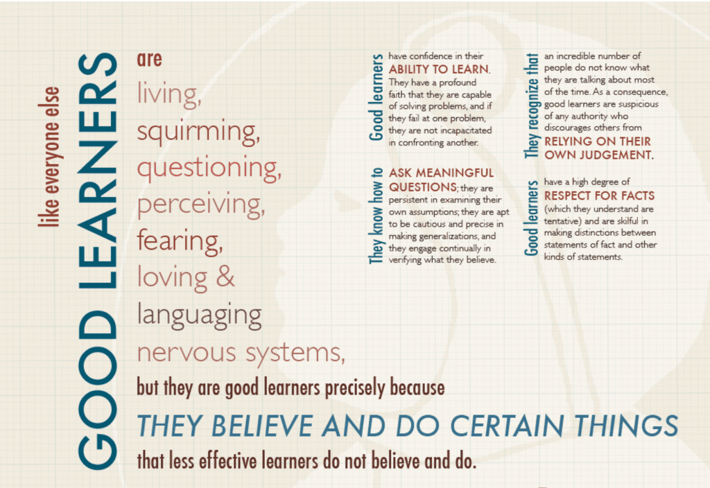 Teaching as a Subversive Activity Redux (Part&nbsp;1)