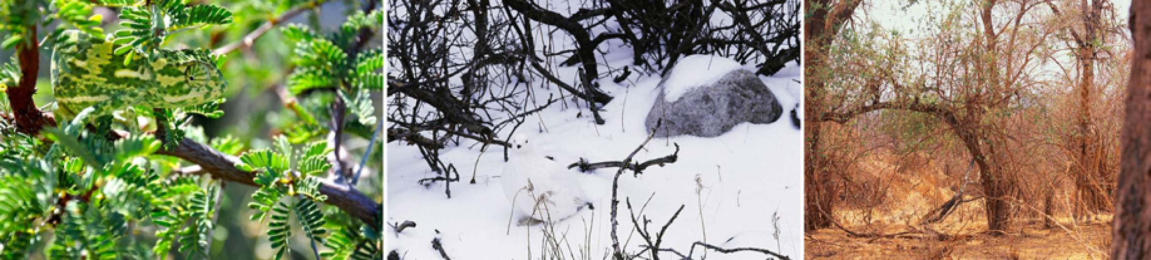 session-6-banner-image