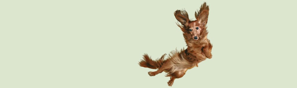 Dying goats and flying dogs: Troubles with&nbsp;relativism