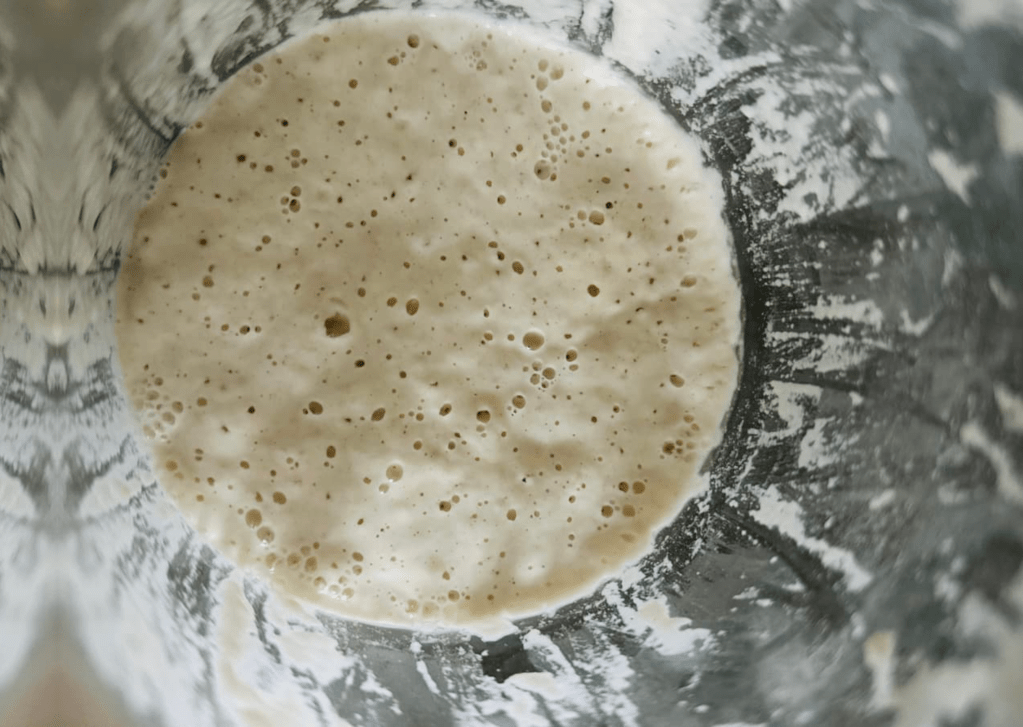 Three loaves of&nbsp;sourdough